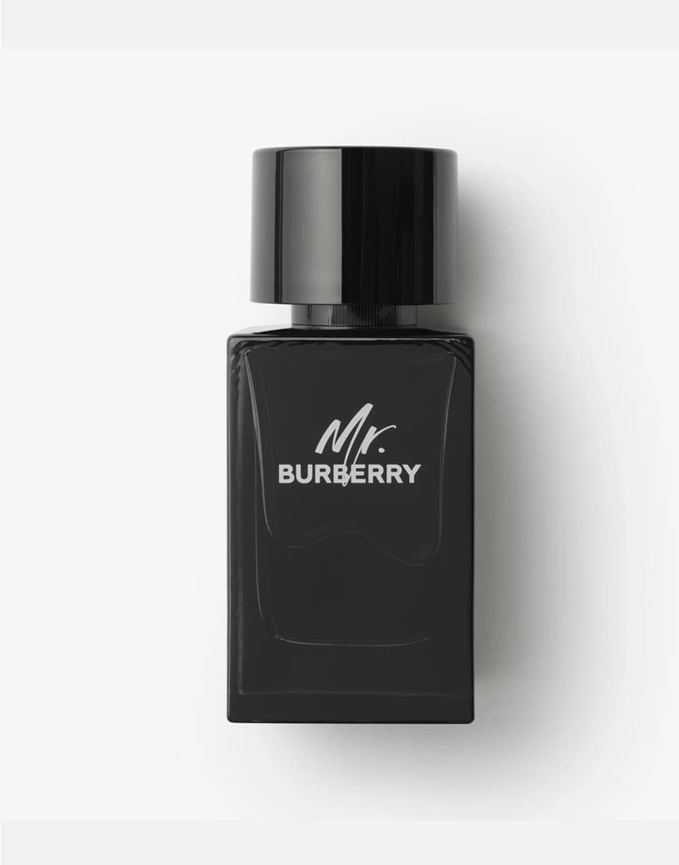 Burberry Mr. Burberry