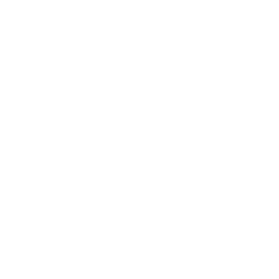 christiandior brand logo