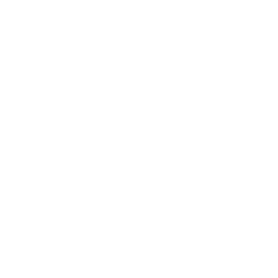 coach brand logo