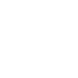 gucci brand logo